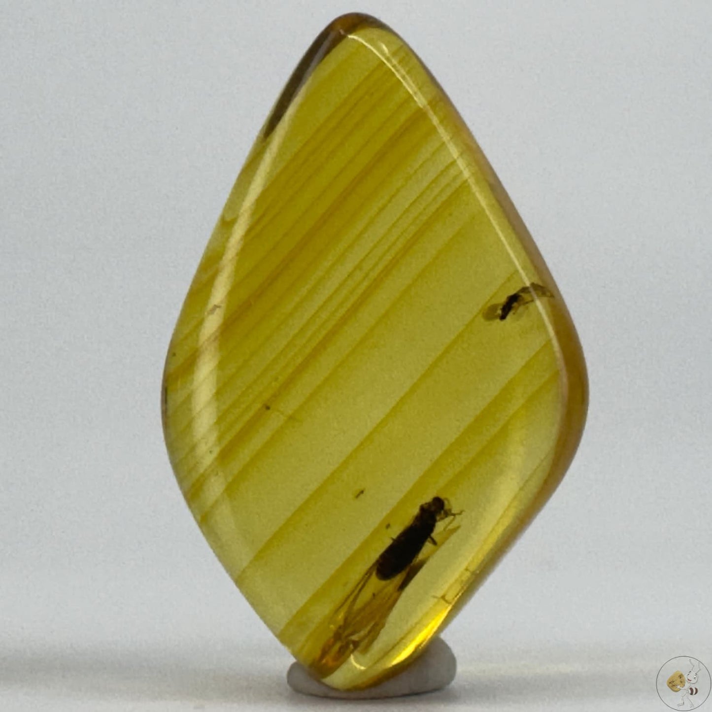 Cabochon d’ambre naturel du Mexique avec inclusion d’un moucheron, parfaitement visible dans des reflets dorés-01