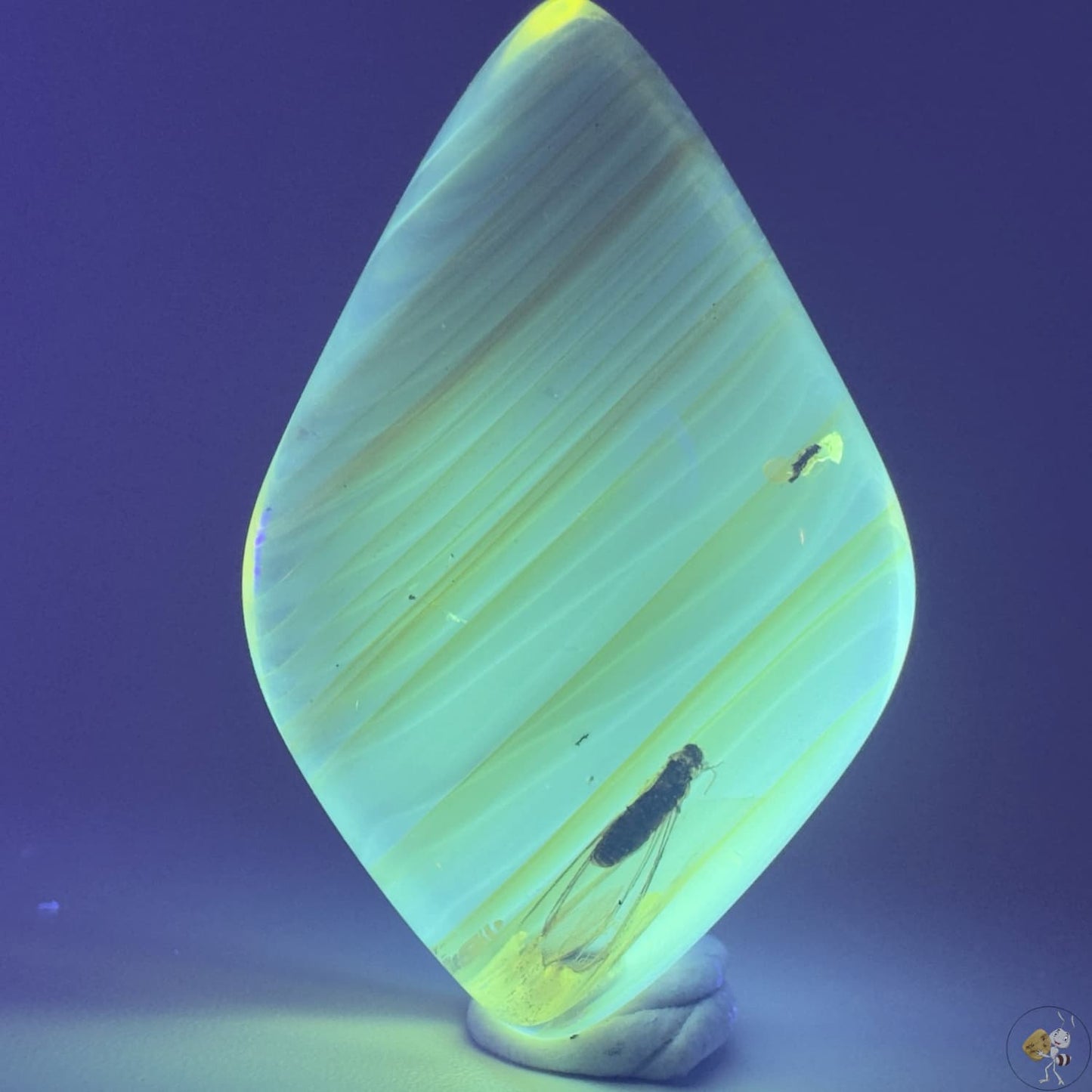 Cabochon d’ambre naturel du Mexique avec inclusion d’un moucheron, parfaitement visible dans des reflets dorés-04