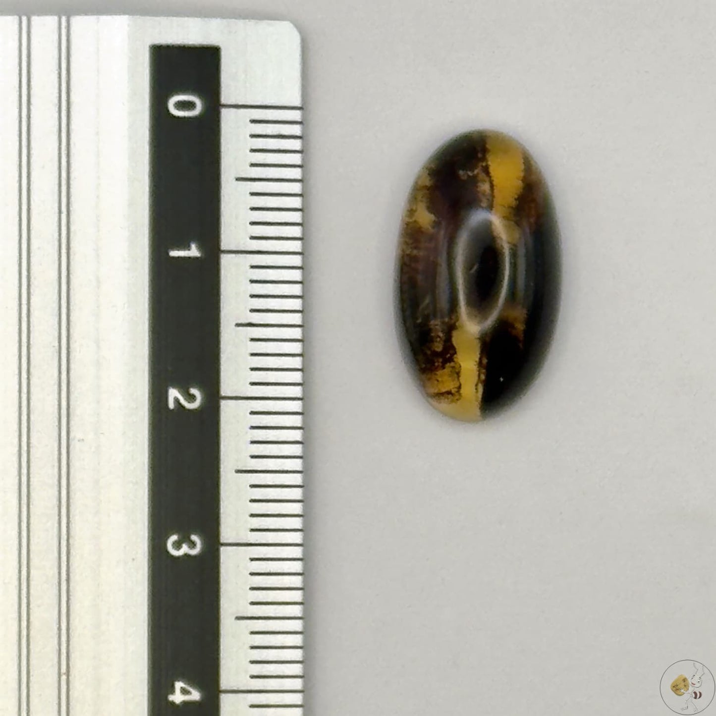 Cabochon en ambre jaune du Mexique, forme ovale, avec des inclusions naturelles et une finition polie. Présenté avec une règle pour référence