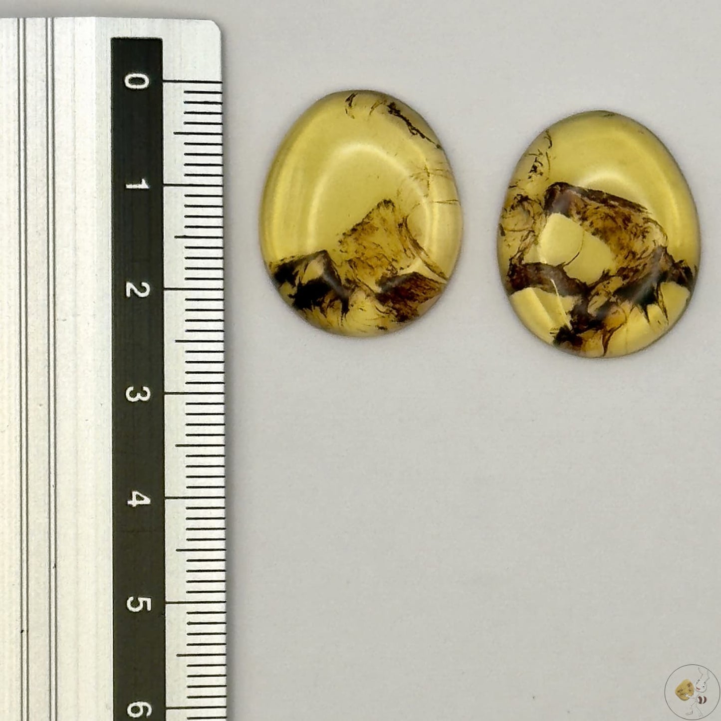 Paire de cabochons en ambre naturel du Mexique – Forme Ovale | Formiga Loca