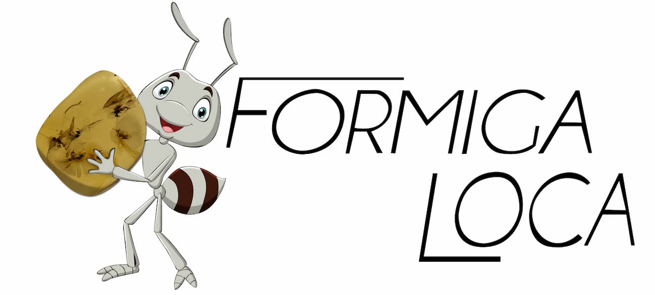 Formiga Loca