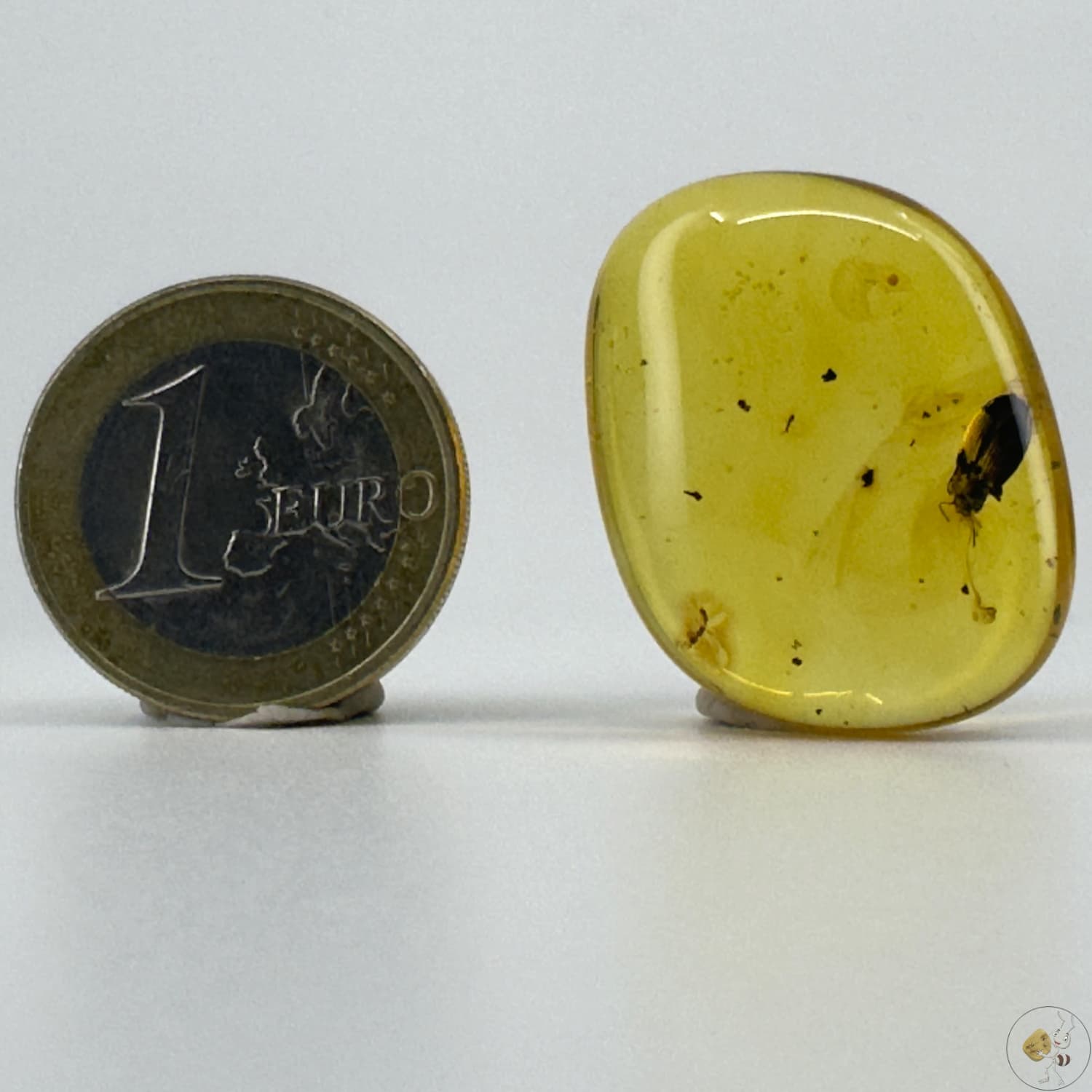 Ambre naturel du Mexique contenant un coléoptère fossilisé, parfaitement visible dans une teinte miel translucide-02