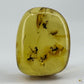 Cabochon d’ambre naturel du Mexique contenant plusieurs insectes volants parfaitement visibles, figés dans la résine fossile-01
