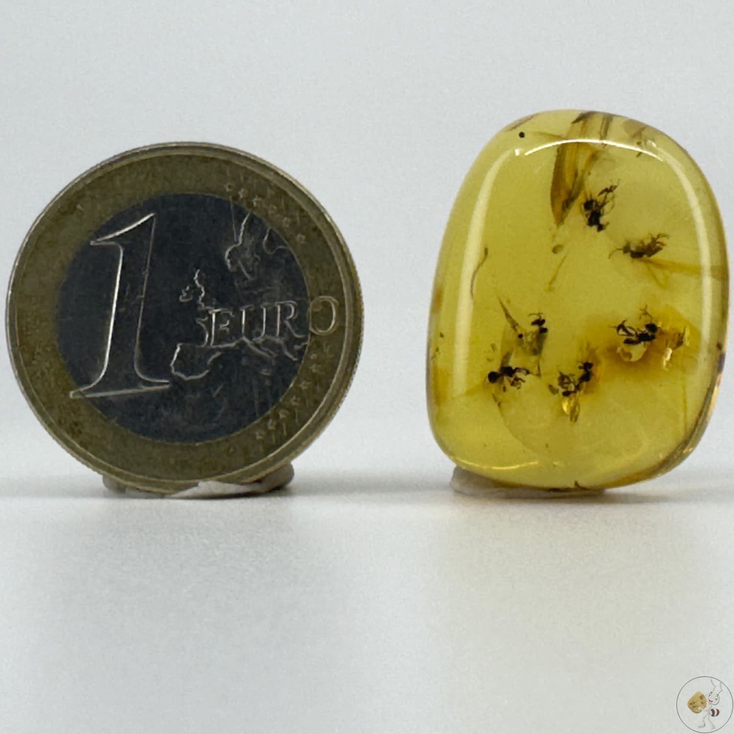 Cabochon d’ambre naturel du Mexique contenant plusieurs insectes volants parfaitement visibles, figés dans la résine fossile-02