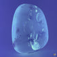 Cabochon d’ambre naturel du Mexique contenant plusieurs insectes volants parfaitement visibles, figés dans la résine fossile-05