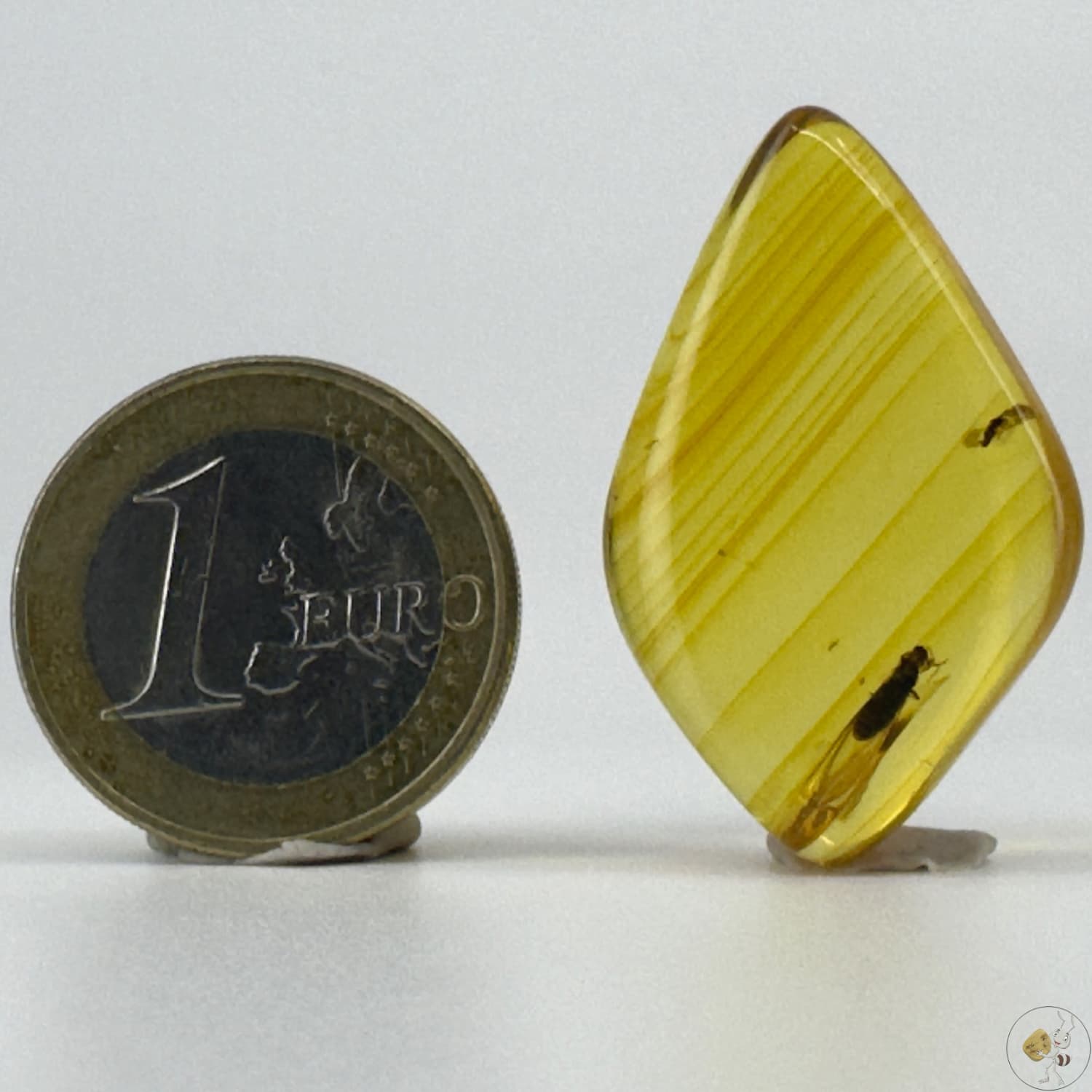 Cabochon d’ambre naturel du Mexique avec inclusion d’un moucheron, parfaitement visible dans des reflets dorés-02