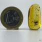 Cabochon d’ambre naturel mexicain avec inclusion d’une réduve masquée, parfaitement conservée-02