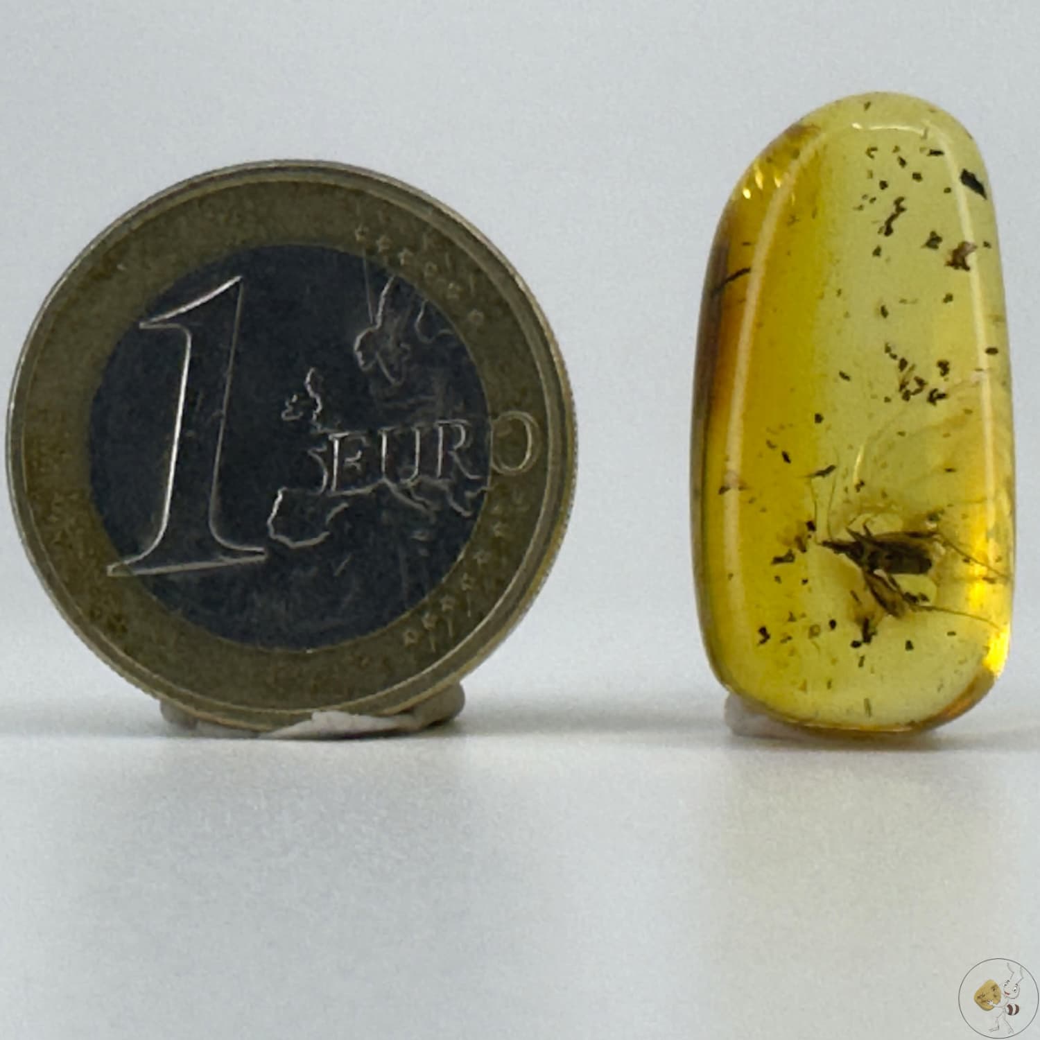 Cabochon d’ambre naturel mexicain avec inclusion d’une réduve masquée, parfaitement conservée-02