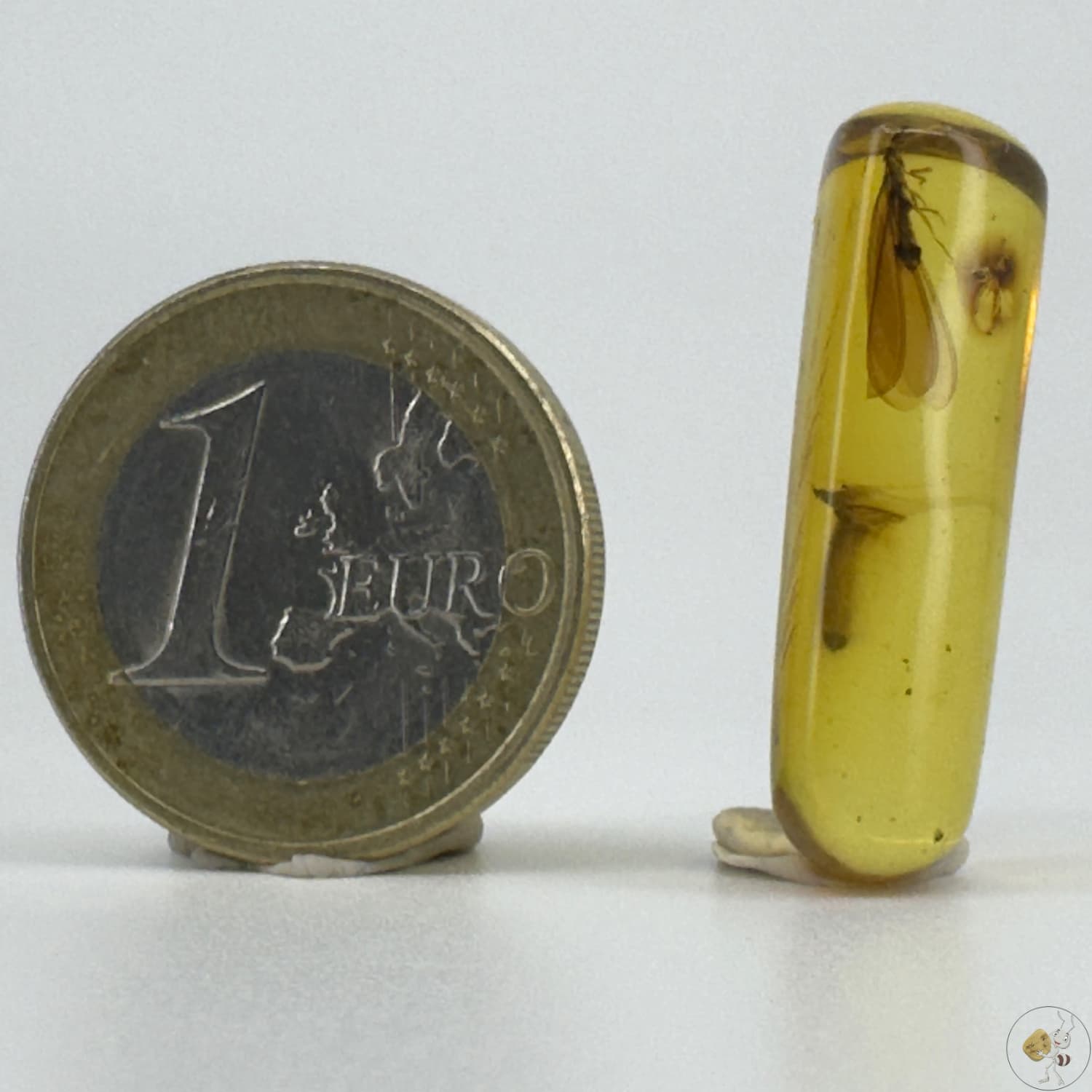 Ambre naturel du Mexique avec inclusion d’une termite ailée parfaitement conservée-02