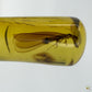 Ambre naturel du Mexique avec inclusion d’une termite ailée parfaitement conservée-03
