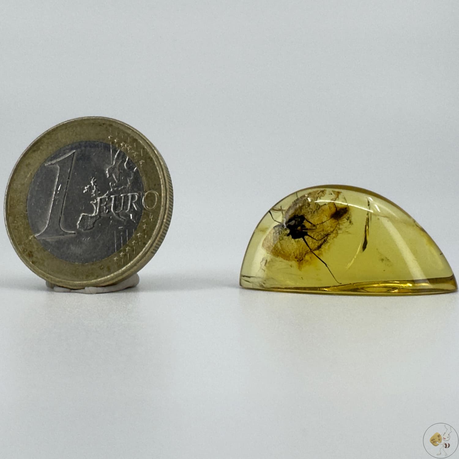 Cabochon d’ambre naturel du Mexique avec inclusion complète d’une fourmi visible en transparence-02