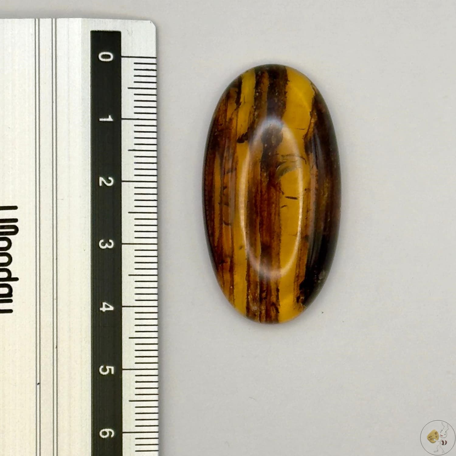 Cabochon en ambre jaune du Mexique, forme ovale, avec des inclusions naturelles et une finition polie. Présenté avec une règle pour référence