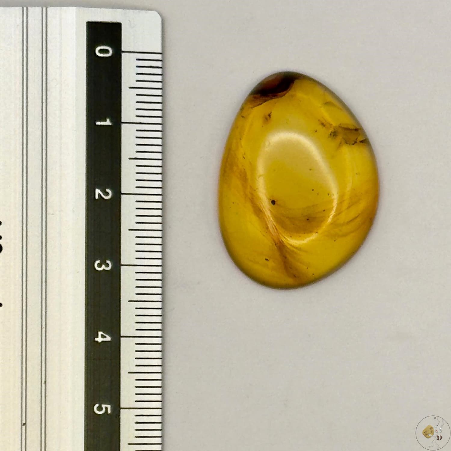 Cabochon en ambre jaune du Mexique, forme libre, avec des inclusions naturelles et une finition polie. Présenté avec une règle pour référence