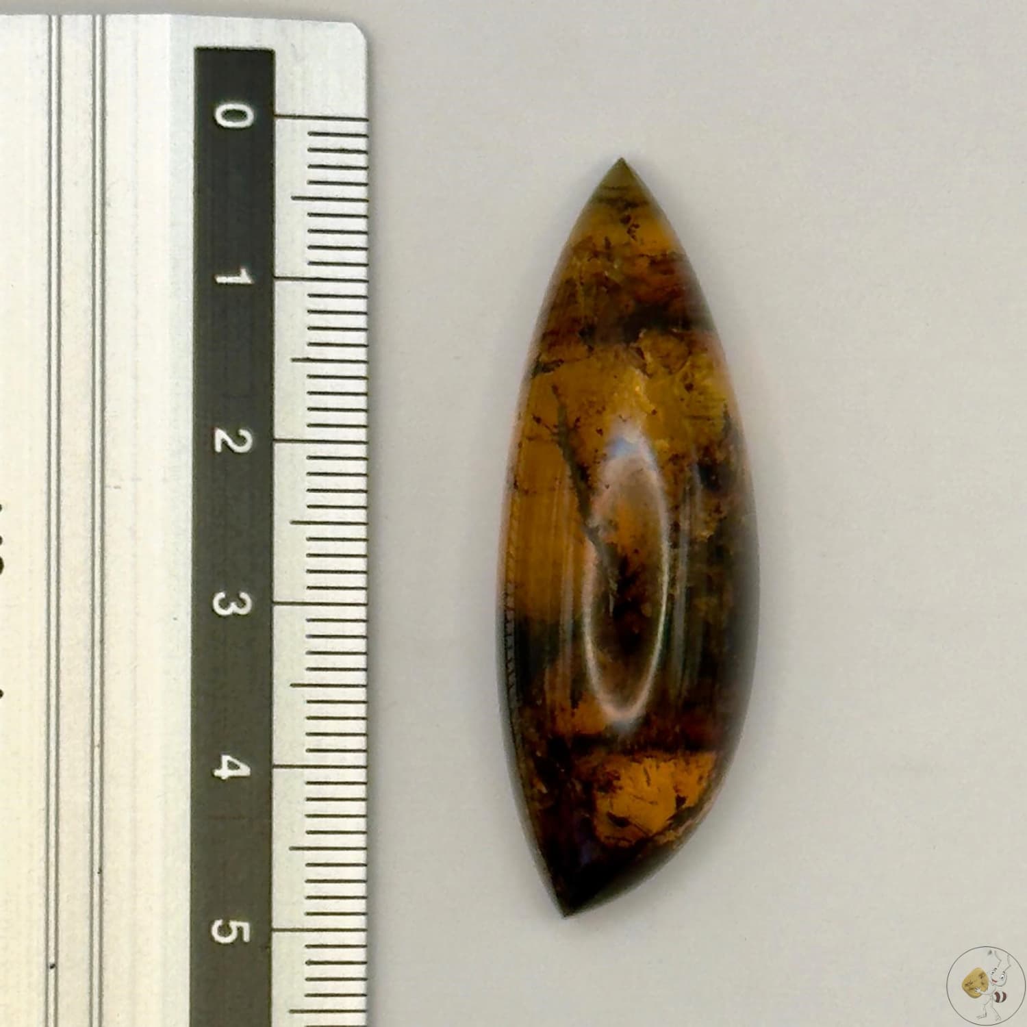 Cabochon en ambre jaune du Mexique, forme goutte, avec des inclusions naturelles et une finition polie. Présenté avec une règle pour référence