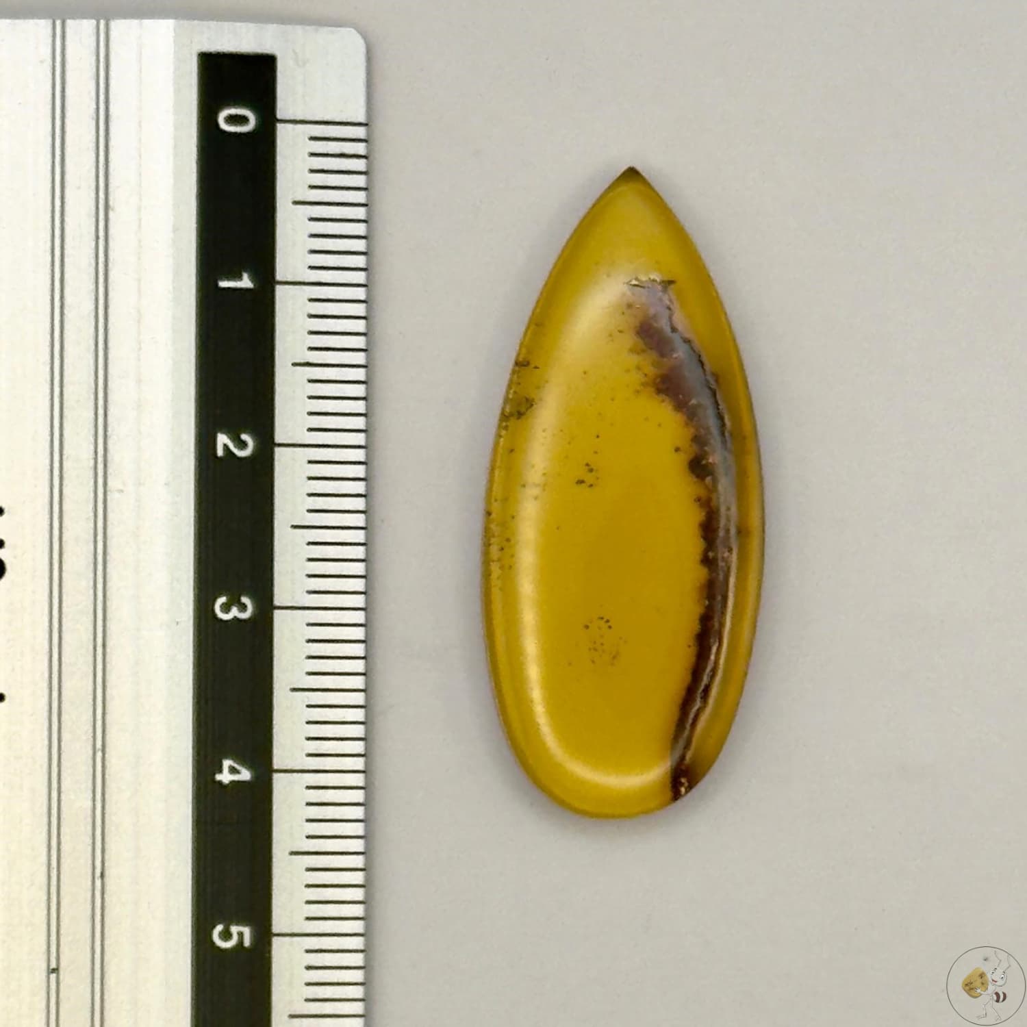 Cabochon en ambre jaune du Mexique, forme goutte, avec des inclusions naturelles et une finition polie. Présenté avec une règle pour référence