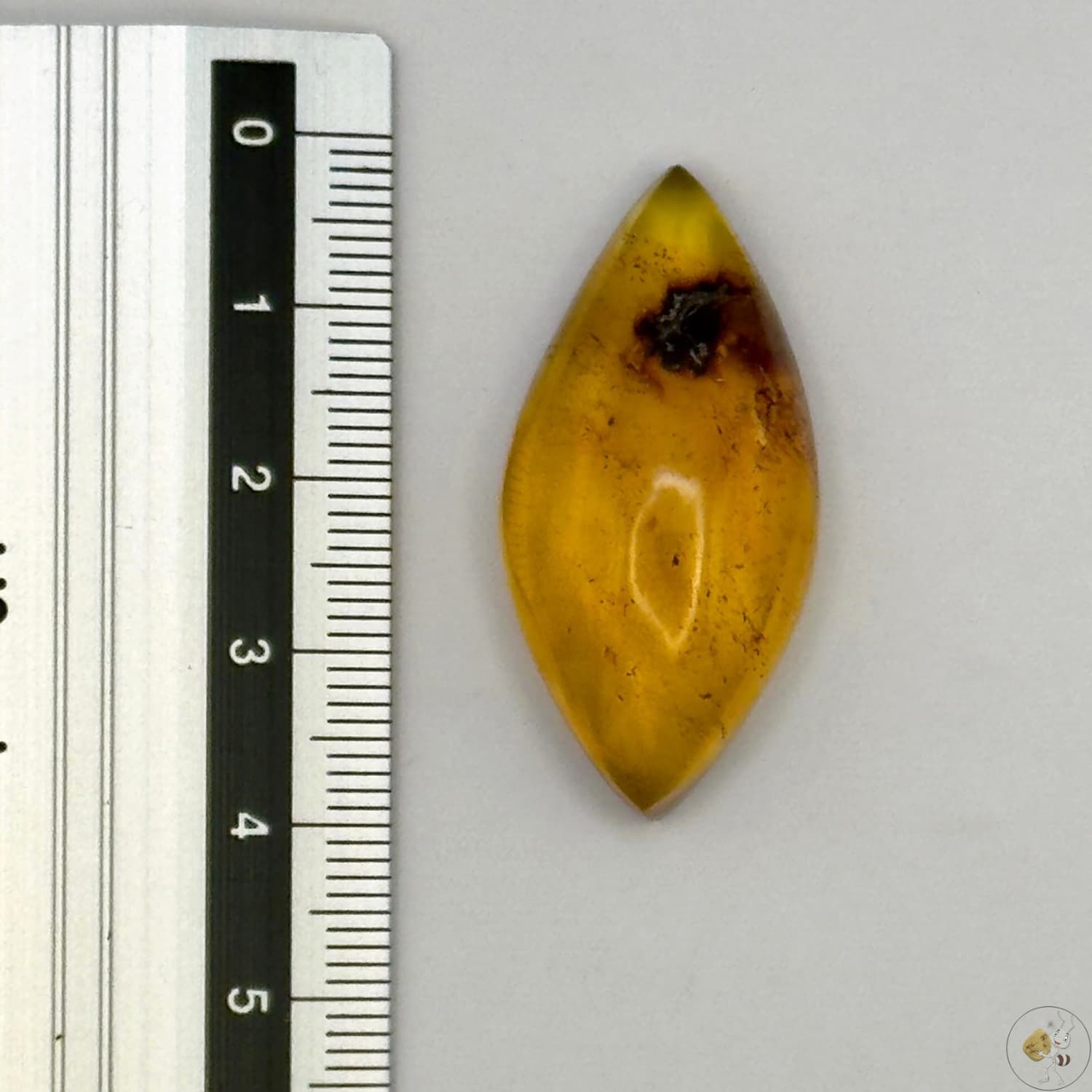 Cabochon en ambre jaune du Mexique, forme goutte, avec des inclusions naturelles et une finition polie. Présenté avec une règle pour référence