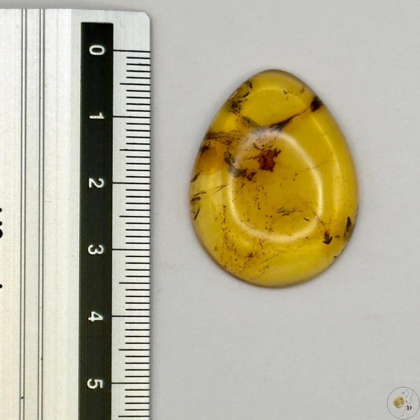 Cabochon en ambre jaune du Mexique, forme ovale, avec des inclusions naturelles et une finition polie. Présenté avec une règle pour référence