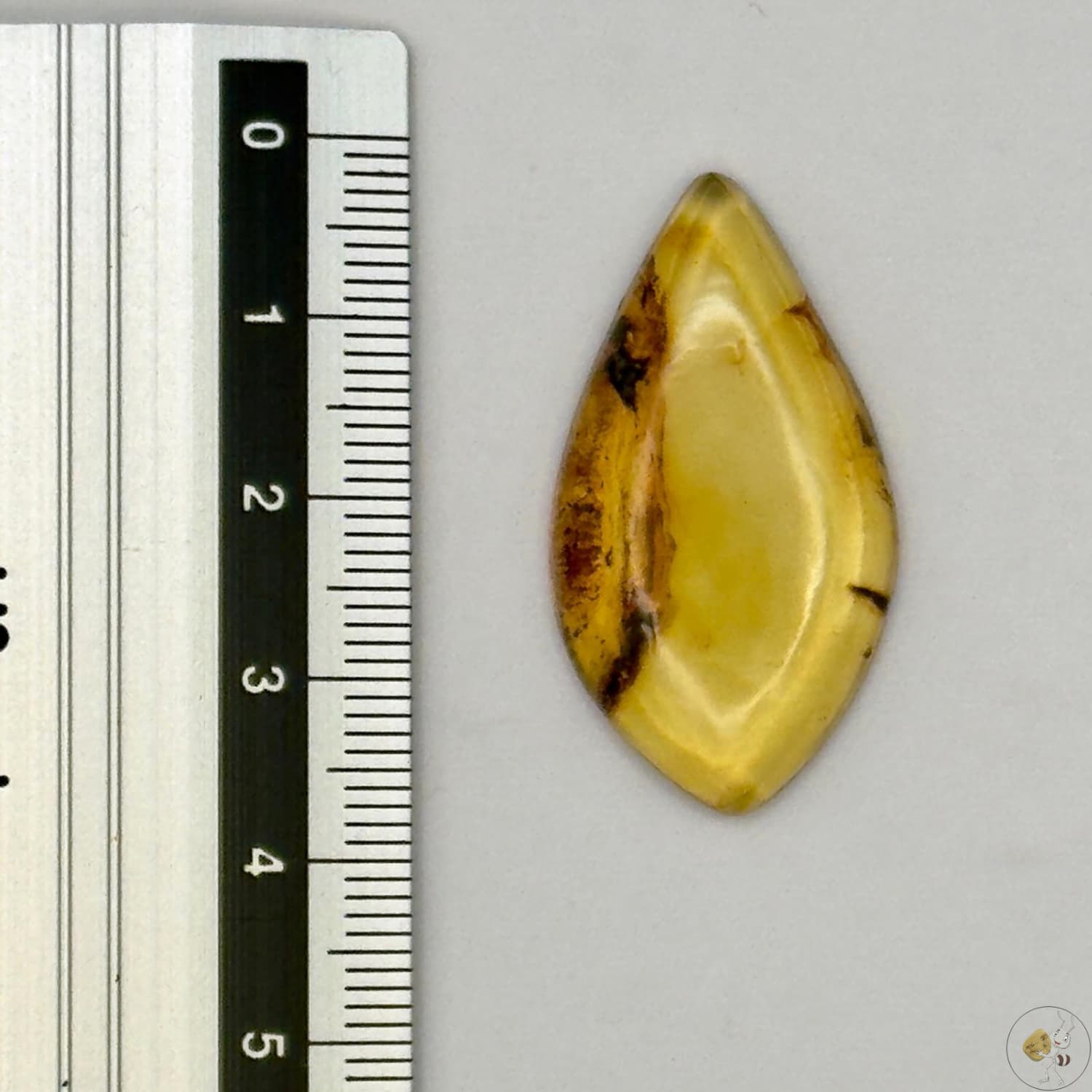 Cabochon en ambre jaune du Mexique, forme goutte, avec des inclusions naturelles et une finition polie. Présenté avec une règle pour référence