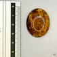 Cabochon en ambre jaune du Mexique, forme ovale, avec des inclusions naturelles et une finition polie. Présenté avec une règle pour référence