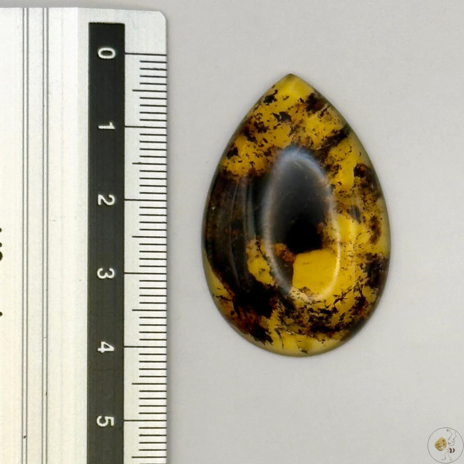 Cabochon en ambre jaune du Mexique, forme goutte, avec des inclusions naturelles et une finition polie. Présenté avec une règle pour référence