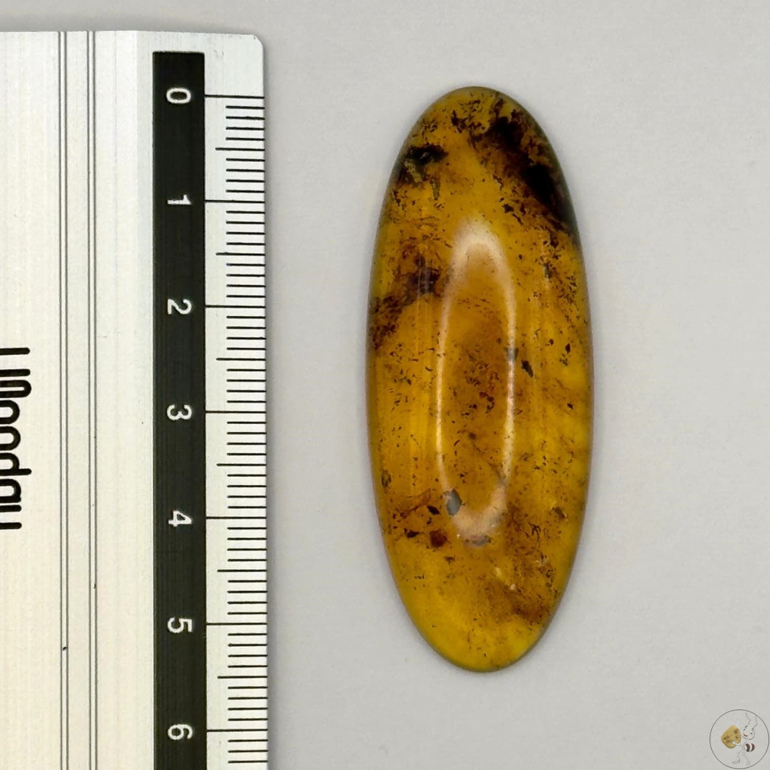 Cabochon en ambre jaune du Mexique, forme ovale, avec des inclusions naturelles et une finition polie. Présenté avec une règle pour référence