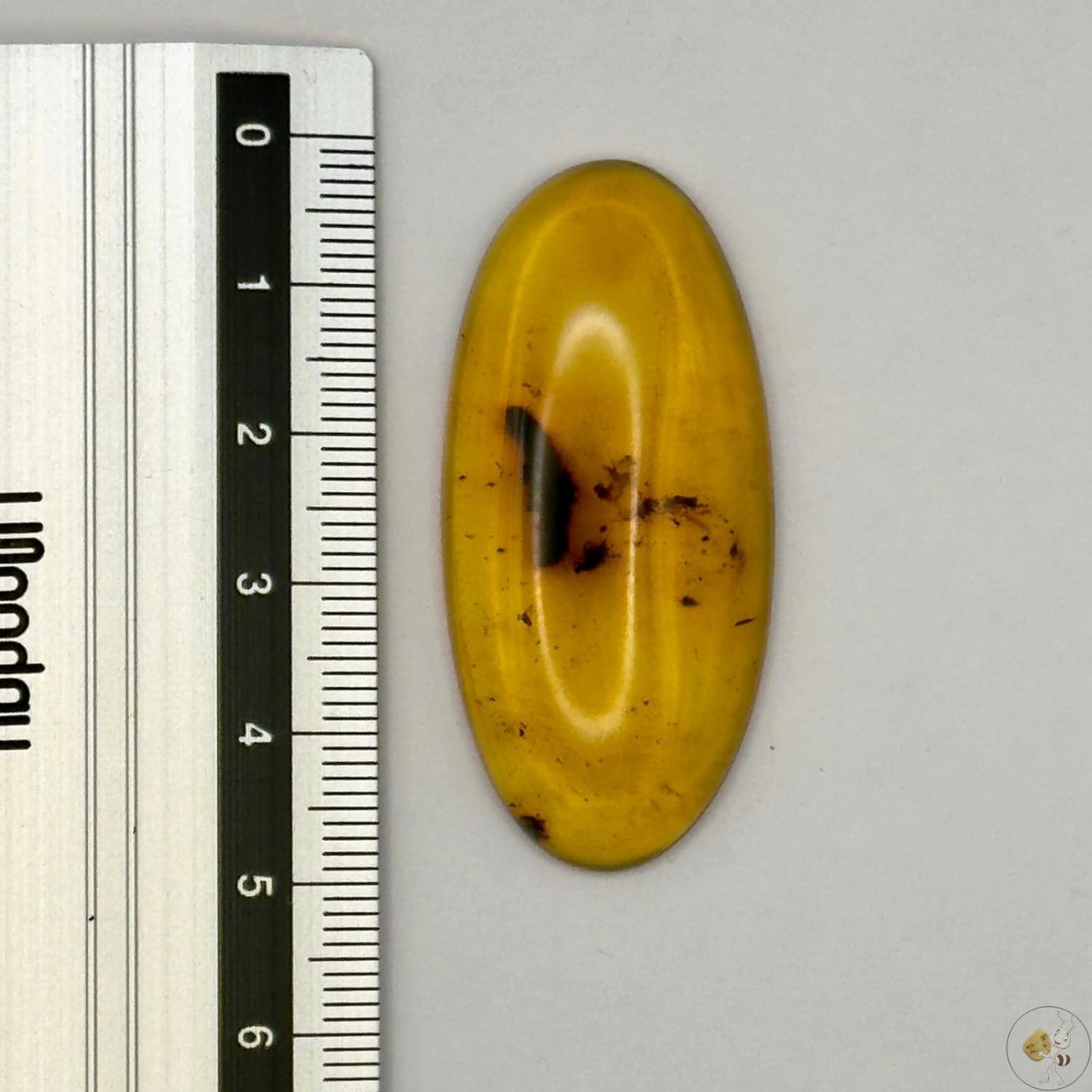 Cabochon en ambre jaune du Mexique, forme ovale, avec des inclusions naturelles et une finition polie. Présenté avec une règle pour référence