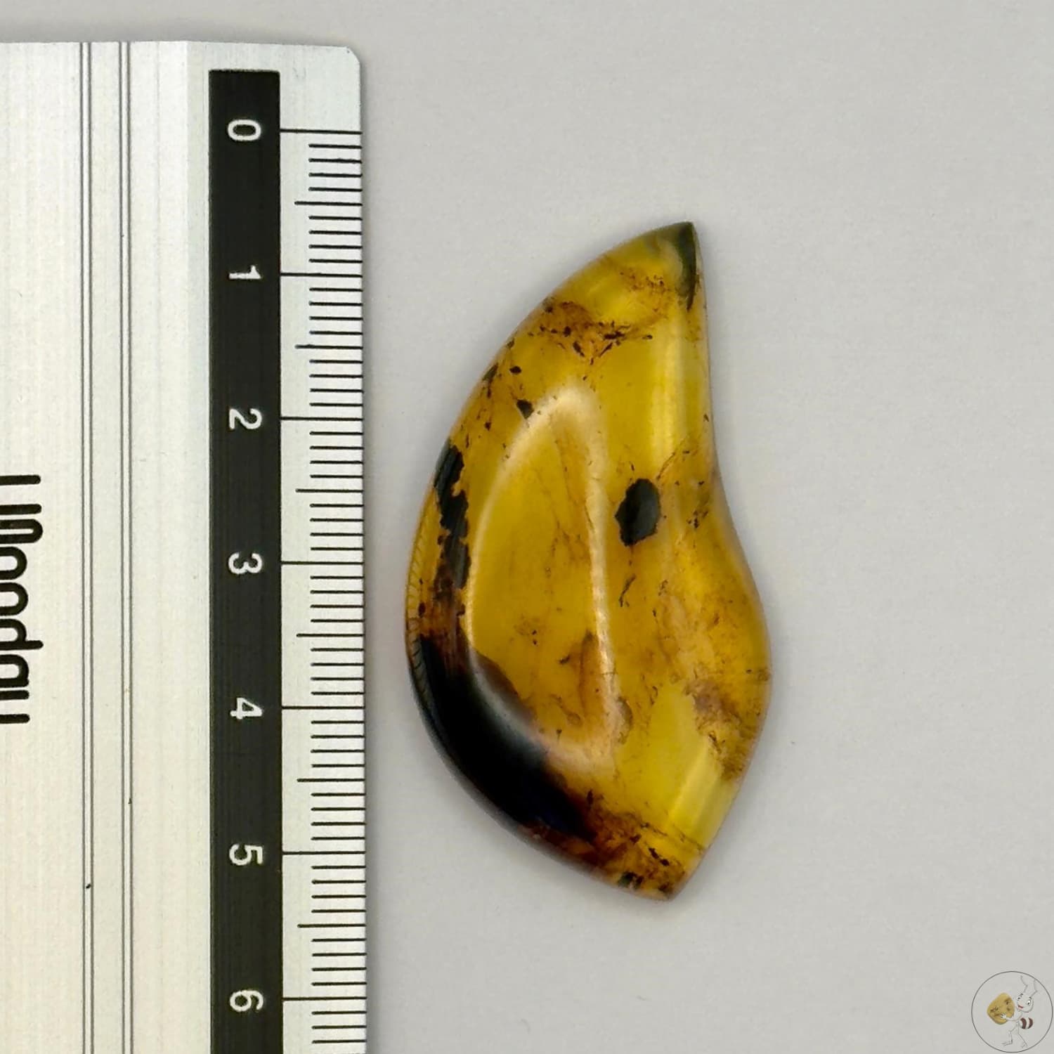 Cabochon en ambre jaune du Mexique, forme libre, avec des inclusions naturelles et une finition polie. Présenté avec une règle pour référence