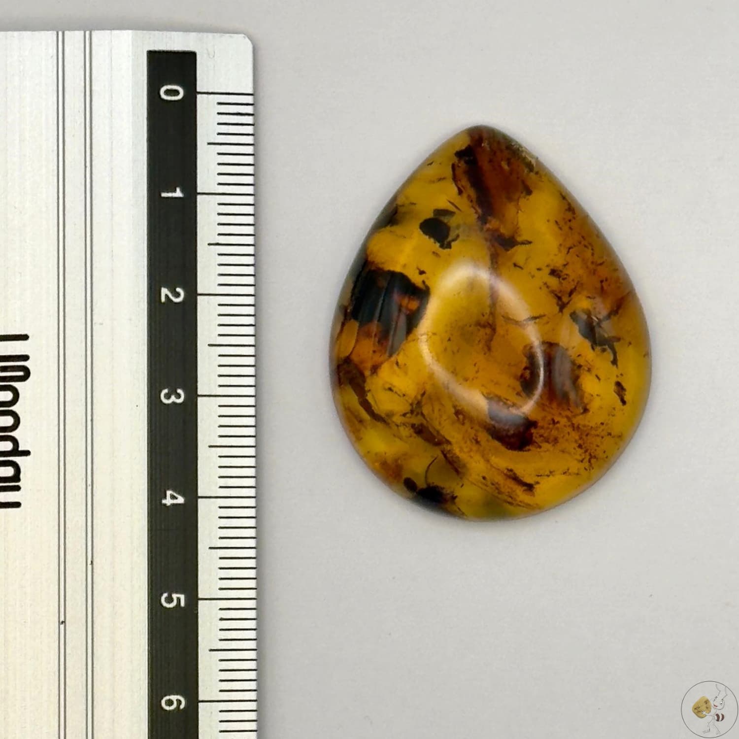 Cabochon en ambre jaune du Mexique, forme goutte, avec des inclusions naturelles et une finition polie. Présenté avec une règle pour référence