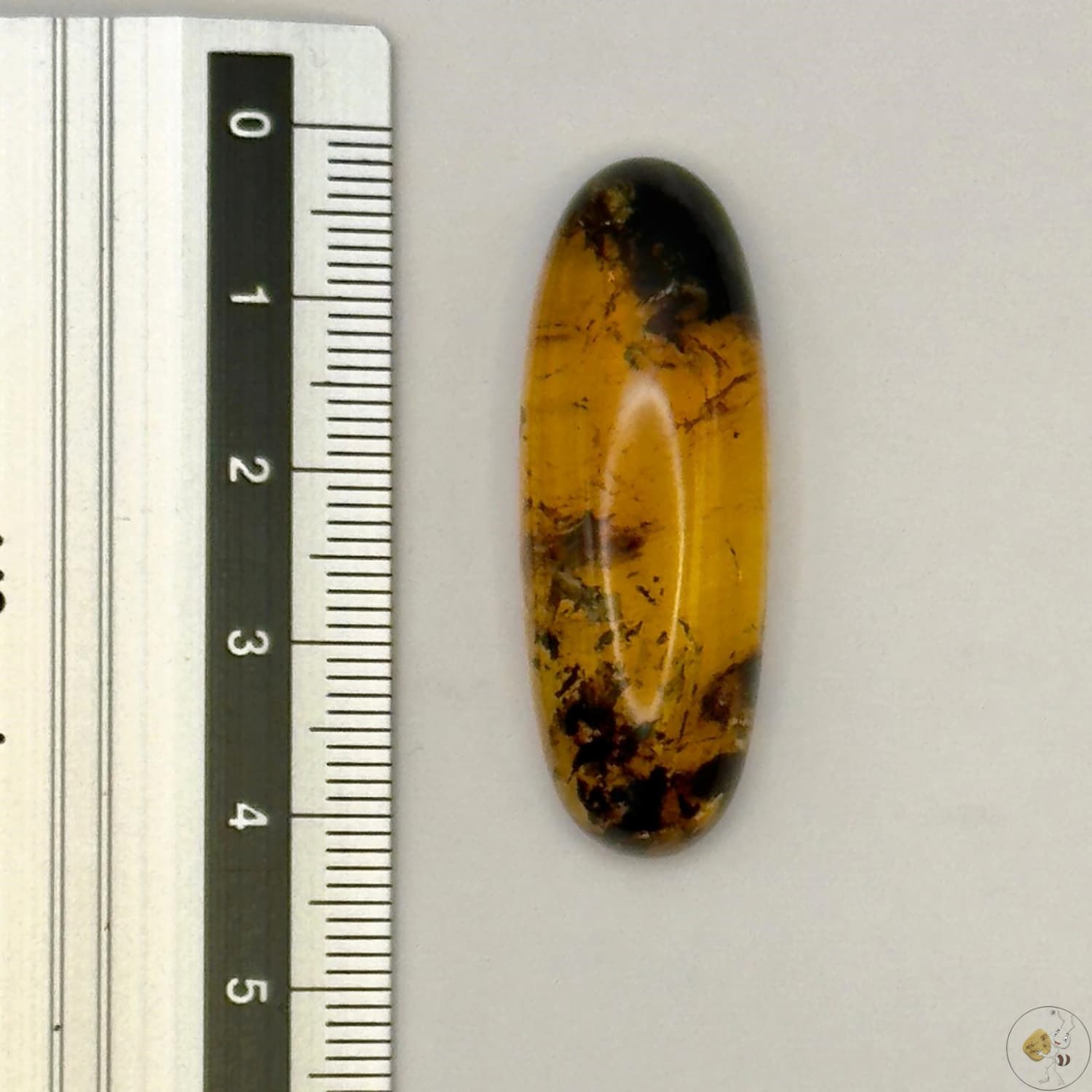 Cabochon en ambre jaune du Mexique, forme ovale, avec des inclusions naturelles et une finition polie. Présenté avec une règle pour référence