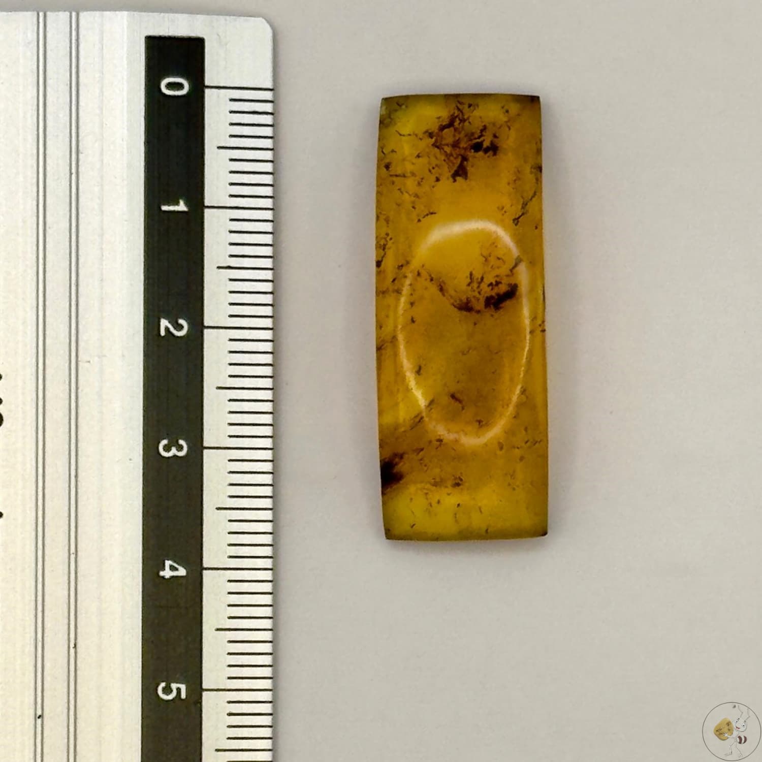 Cabochon en ambre jaune du Mexique, forme rectangulaire, avec des inclusions naturelles et une finition polie. Présenté avec une règle pour référence