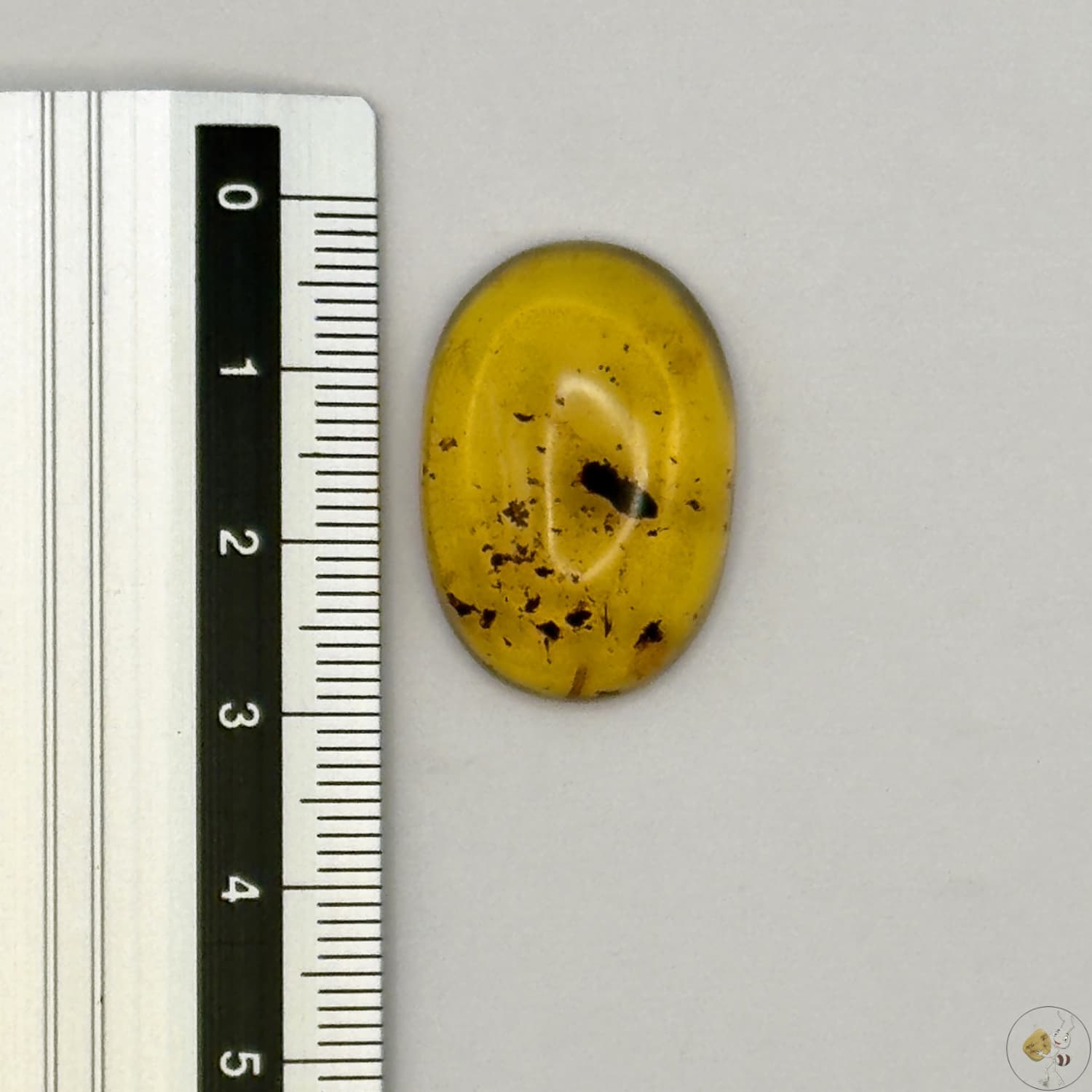 Cabochon en ambre jaune du Mexique, forme ovale, avec des inclusions naturelles et une finition polie. Présenté avec une règle pour référence