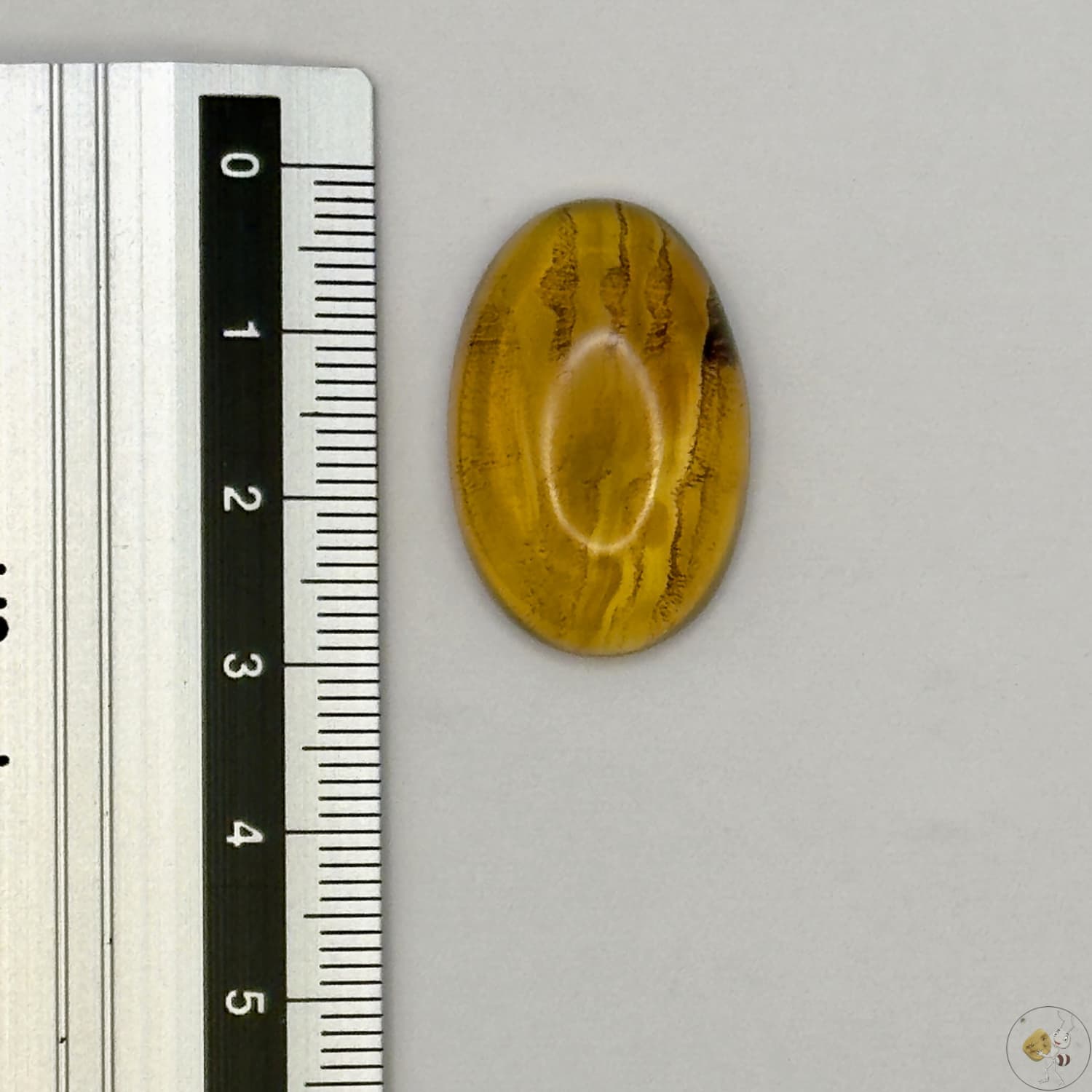 Cabochon en ambre jaune du Mexique, forme ovale, avec des inclusions naturelles et une finition polie. Présenté avec une règle pour référence