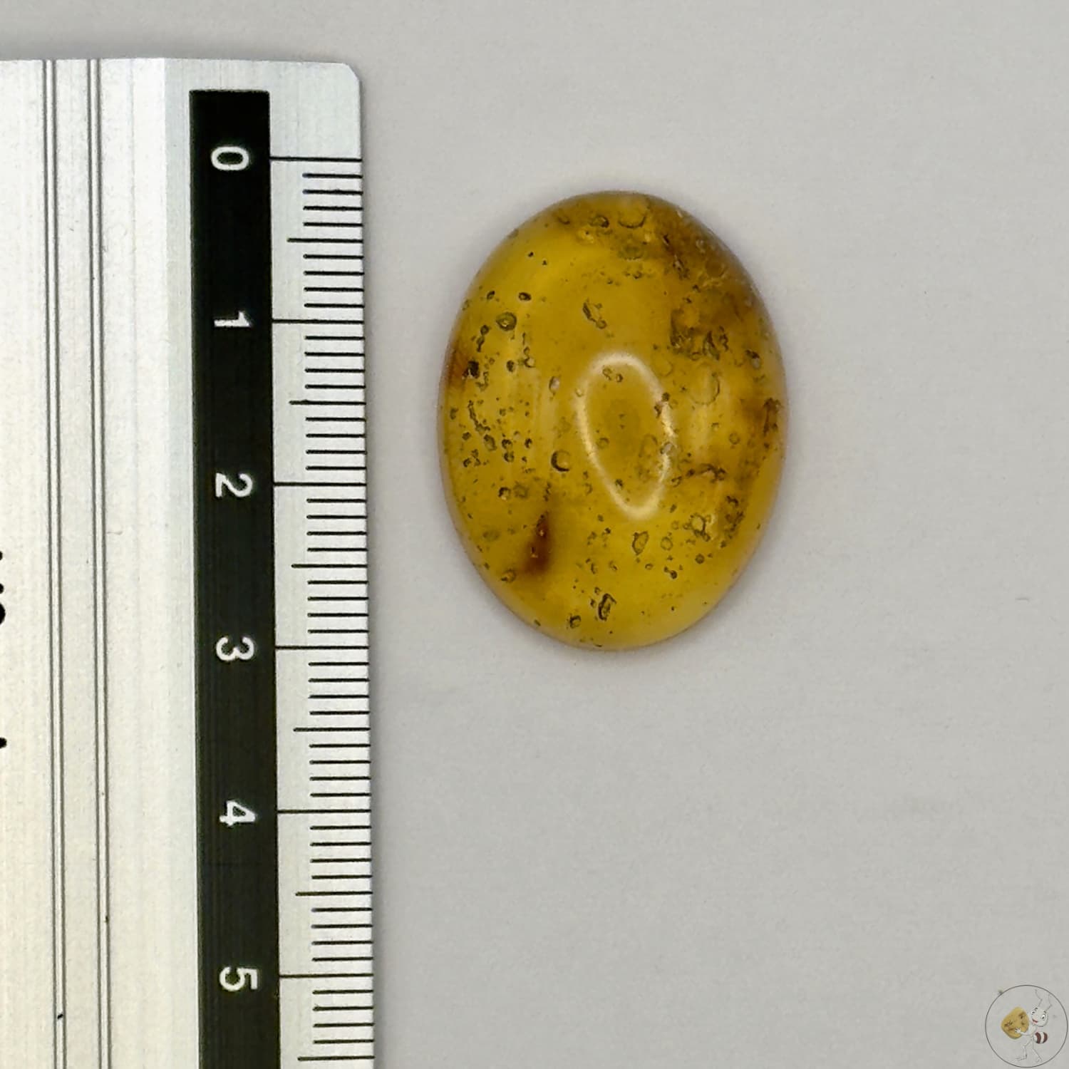 Cabochon en ambre jaune du Mexique, forme ovale, avec des inclusions naturelles et une finition polie. Présenté avec une règle pour référence