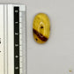 Cabochon en ambre jaune du Mexique, forme ovale, avec des inclusions naturelles et une finition polie. Présenté avec une règle pour référence