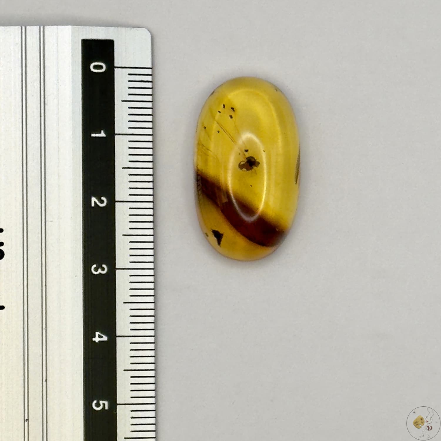 Cabochon en ambre jaune du Mexique, forme ovale, avec des inclusions naturelles et une finition polie. Présenté avec une règle pour référence