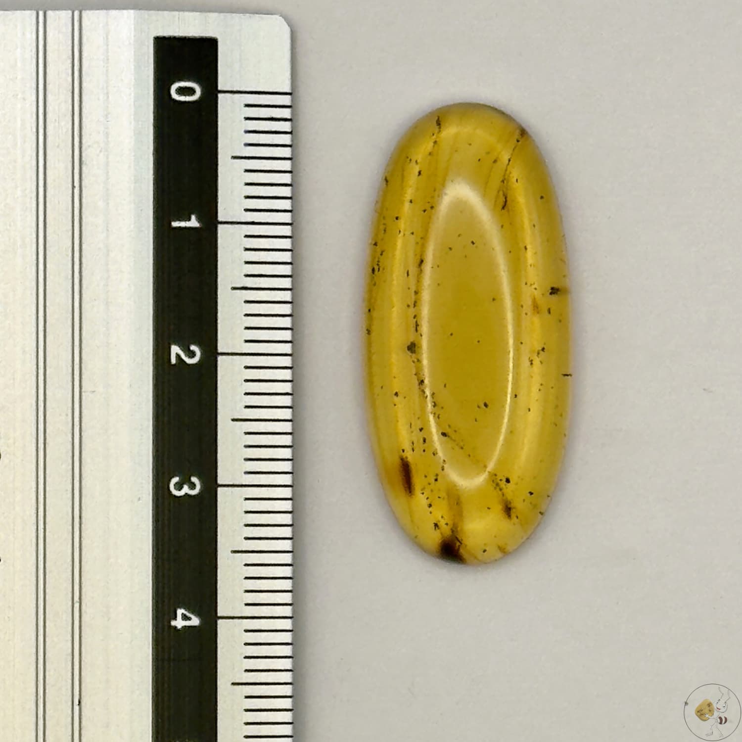 Cabochon en ambre jaune du Mexique, forme ovale, avec des inclusions naturelles et une finition polie. Présenté avec une règle pour référence