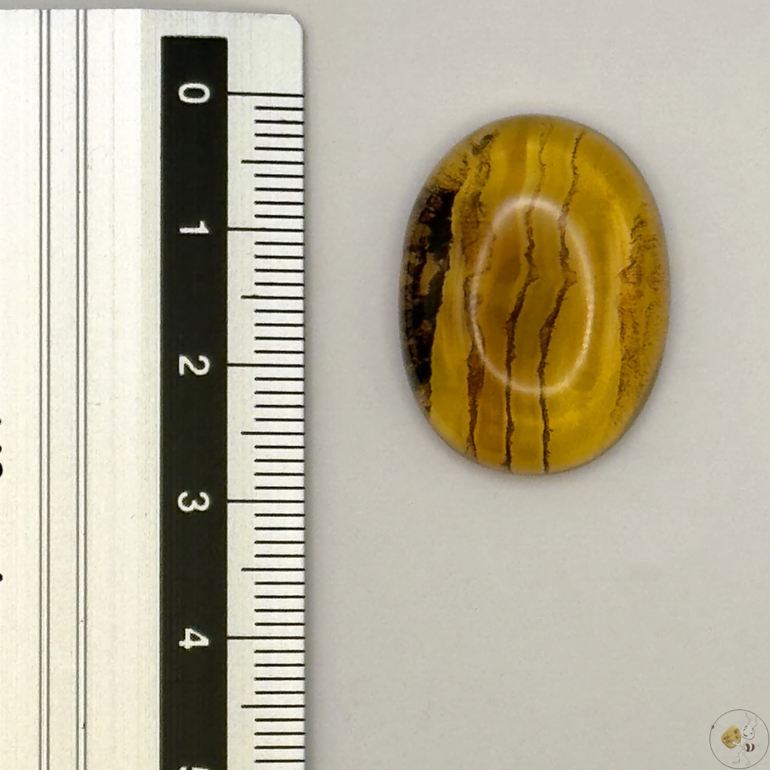 Cabochon en ambre jaune du Mexique, forme ovale, avec des inclusions naturelles et une finition polie. Présenté avec une règle pour référence