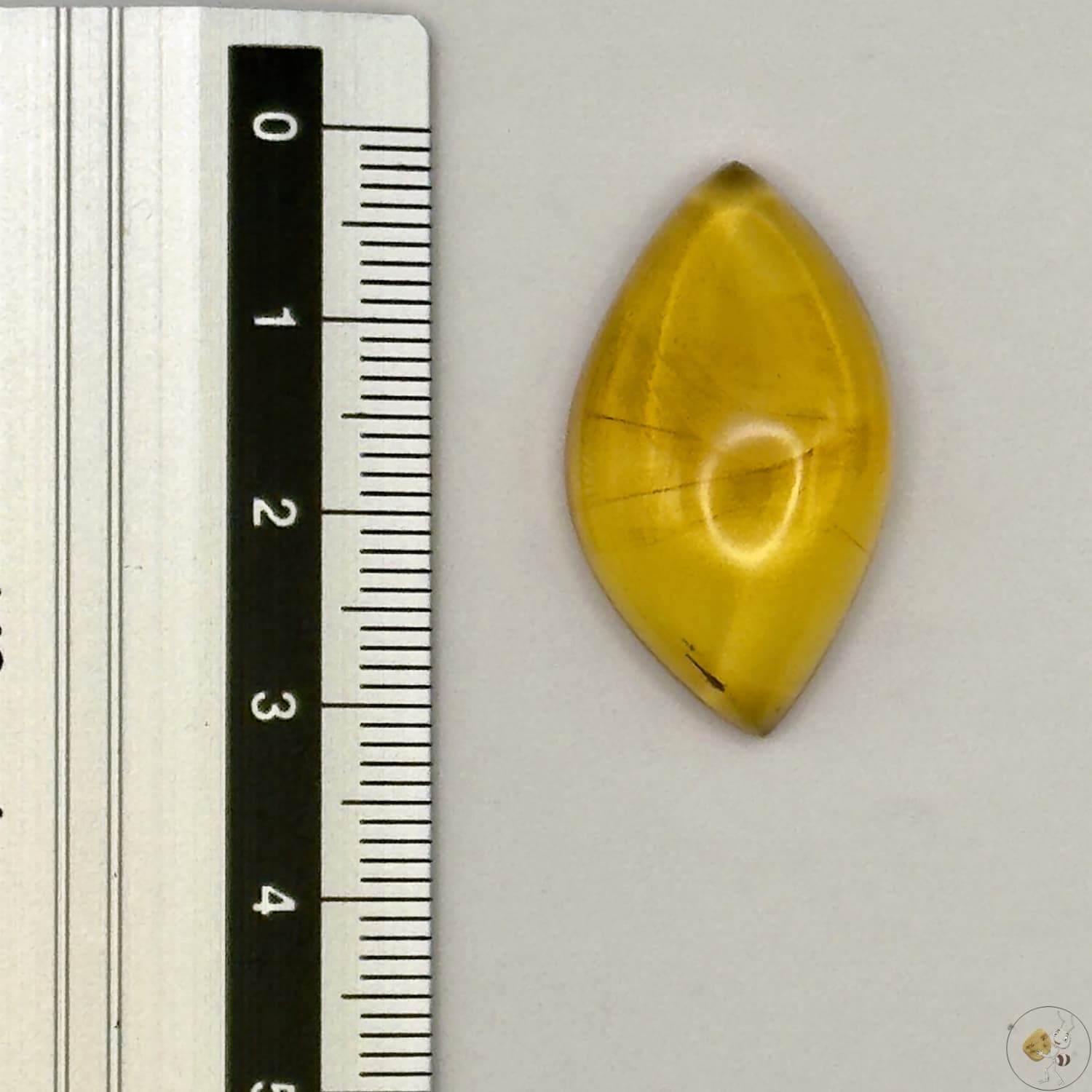 Cabochon en ambre jaune du Mexique, forme libre, avec des inclusions naturelles et une finition polie. Présenté avec une règle pour référence