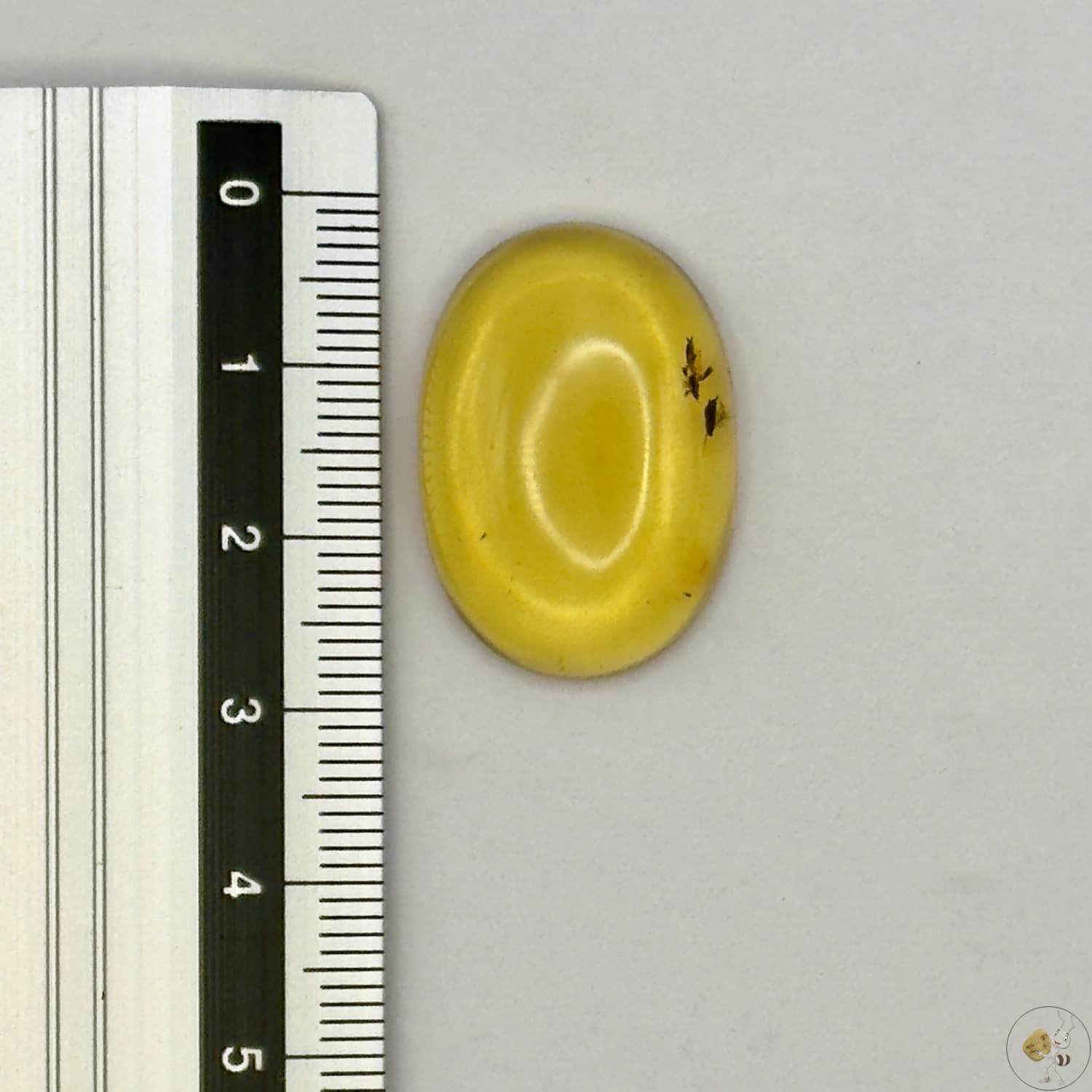 Cabochon en ambre jaune du Mexique, forme ovale, avec des inclusions naturelles et une finition polie. Présenté avec une règle pour référence