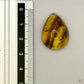Cabochon en ambre jaune du Mexique, forme goutte, avec des inclusions naturelles et une finition polie. Présenté avec une règle pour référence