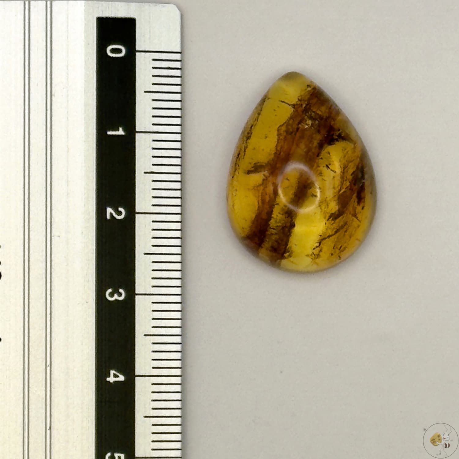 Cabochon en ambre jaune du Mexique, forme goutte, avec des inclusions naturelles et une finition polie. Présenté avec une règle pour référence