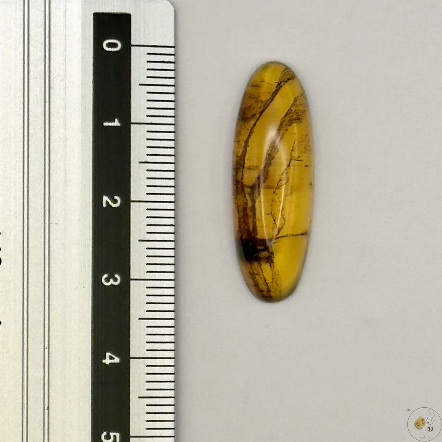 Cabochon en ambre jaune du Mexique, forme ovale, avec des inclusions naturelles et une finition polie. Présenté avec une règle pour référence