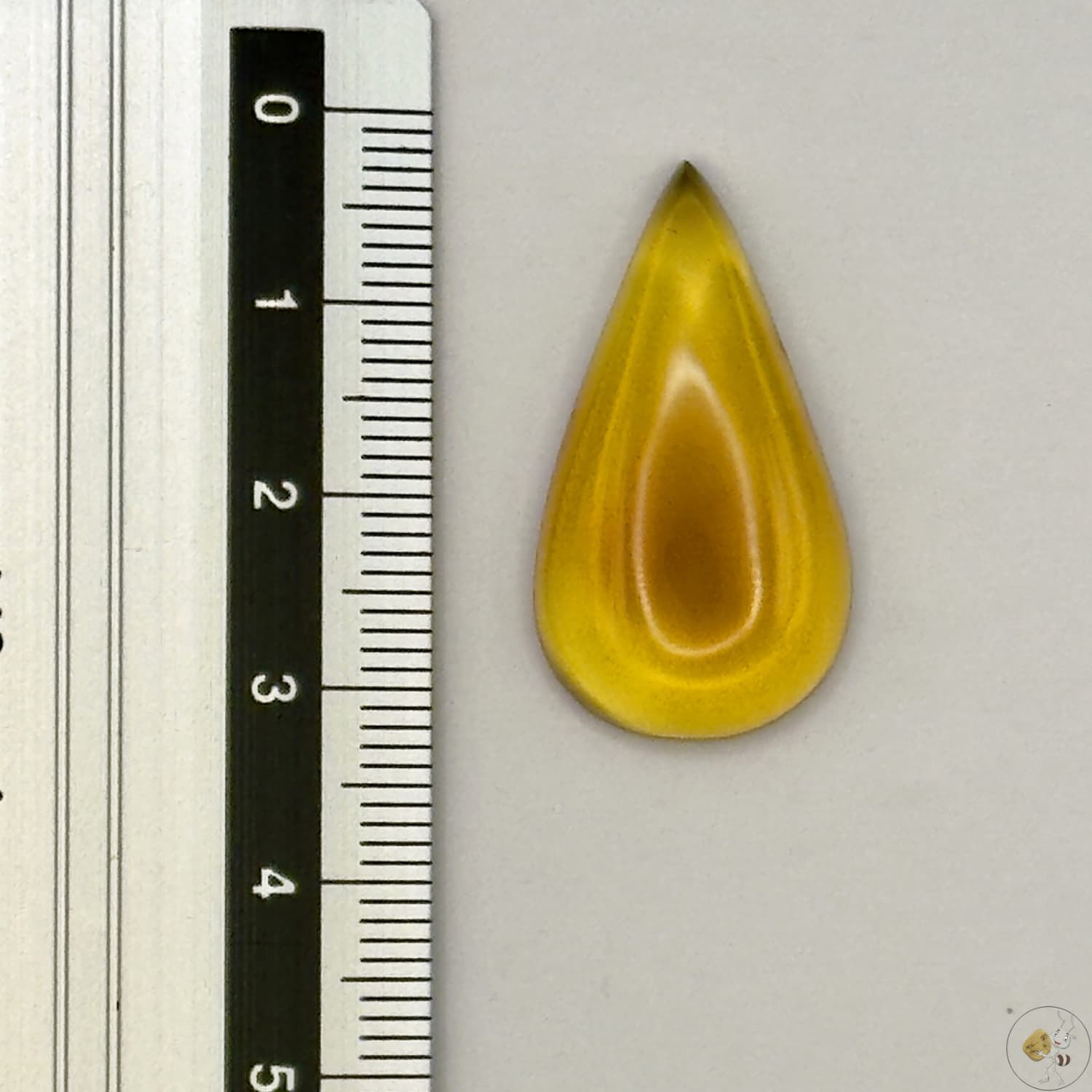 Cabochon en ambre jaune du Mexique, forme goutte, avec des inclusions naturelles et une finition polie. Présenté avec une règle pour référence