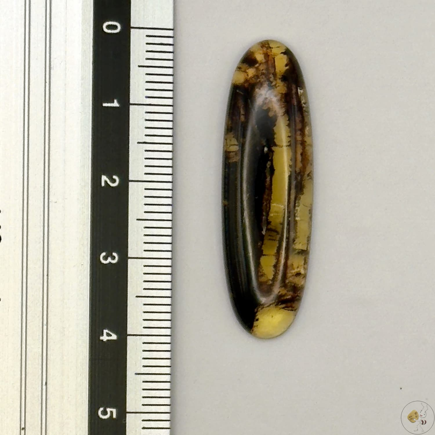 Cabochon en ambre jaune du Mexique, forme ovale, avec des inclusions naturelles et une finition polie. Présenté avec une règle pour référence