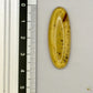 Cabochon en ambre jaune du Mexique, forme ovale, avec des inclusions naturelles et une finition polie. Présenté avec une règle pour référence