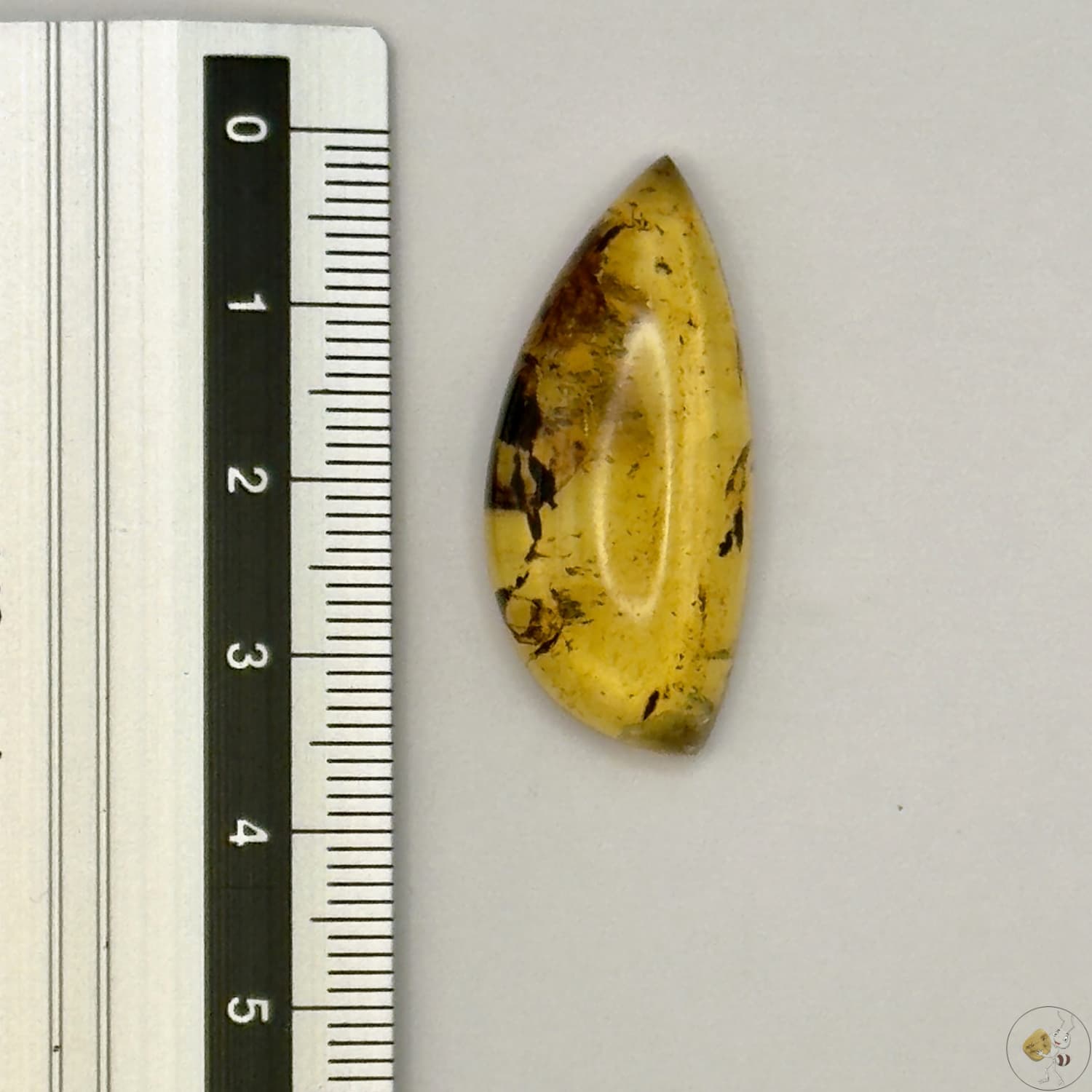 Cabochon en ambre jaune du Mexique, forme libre, avec des inclusions naturelles et une finition polie. Présenté avec une règle pour référence