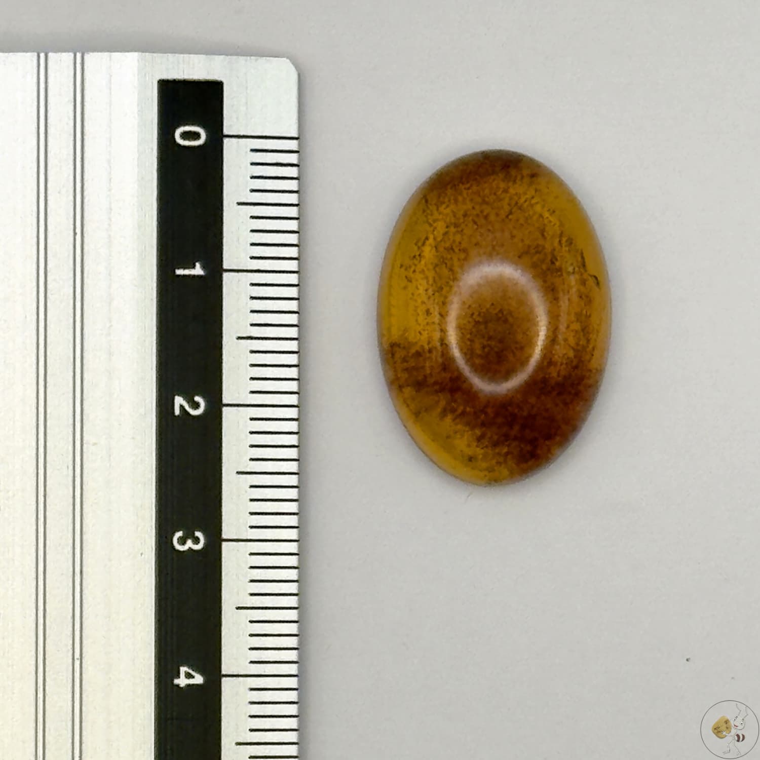 Cabochon en ambre jaune du Mexique, forme ovale, avec des inclusions naturelles et une finition polie. Présenté avec une règle pour référence