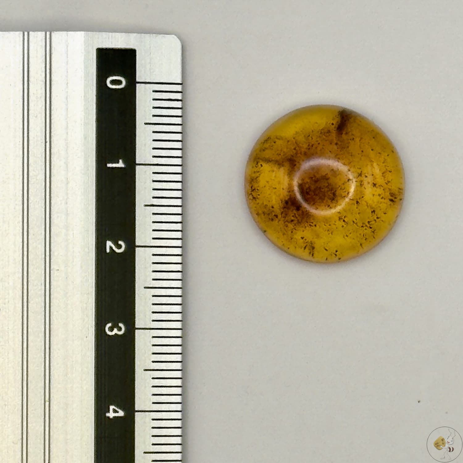 Cabochon en ambre jaune du Mexique, forme ronde, avec des inclusions naturelles et une finition polie. Présenté avec une règle pour référence