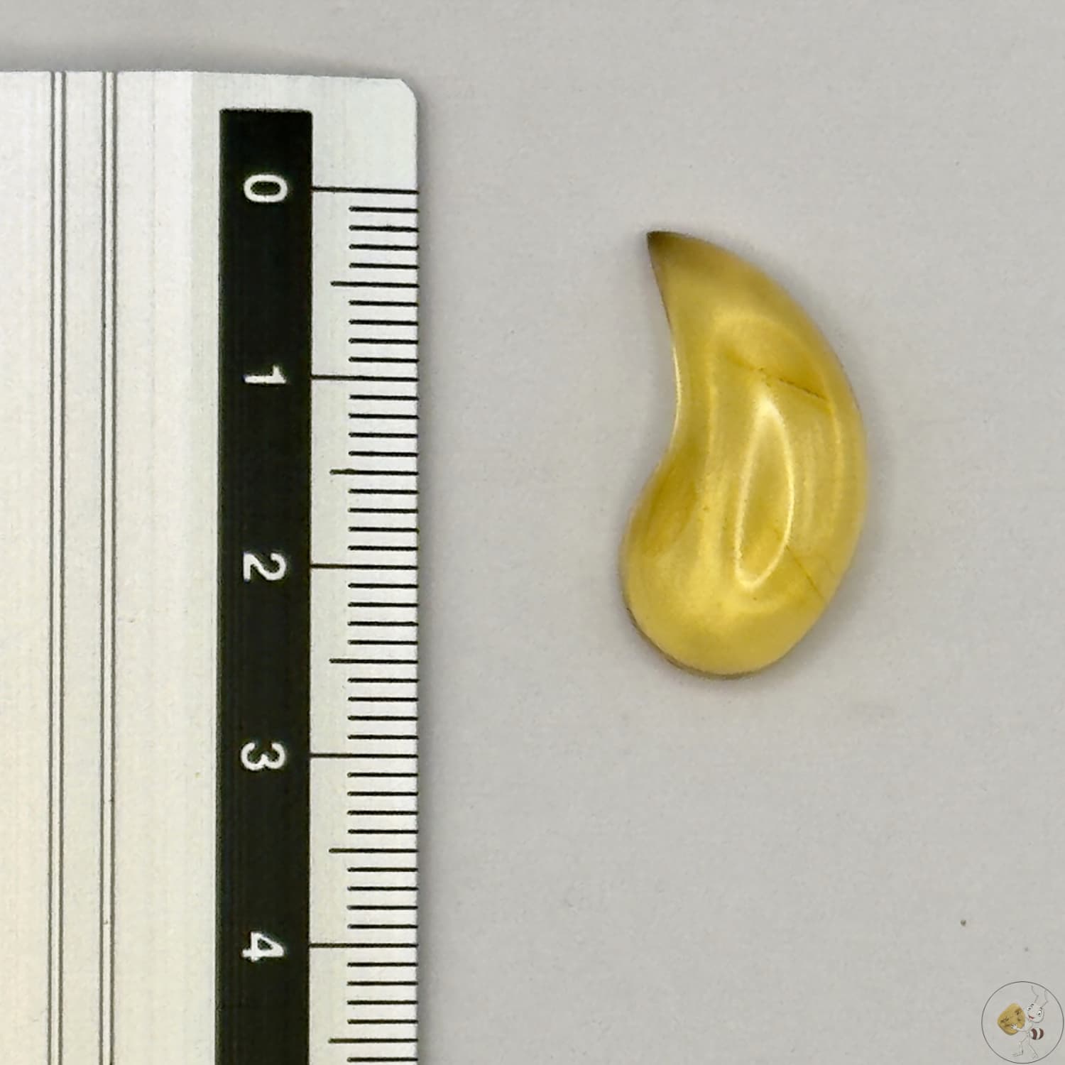 Cabochon en ambre jaune du Mexique, forme libre, avec des inclusions naturelles et une finition polie. Présenté avec une règle pour référence