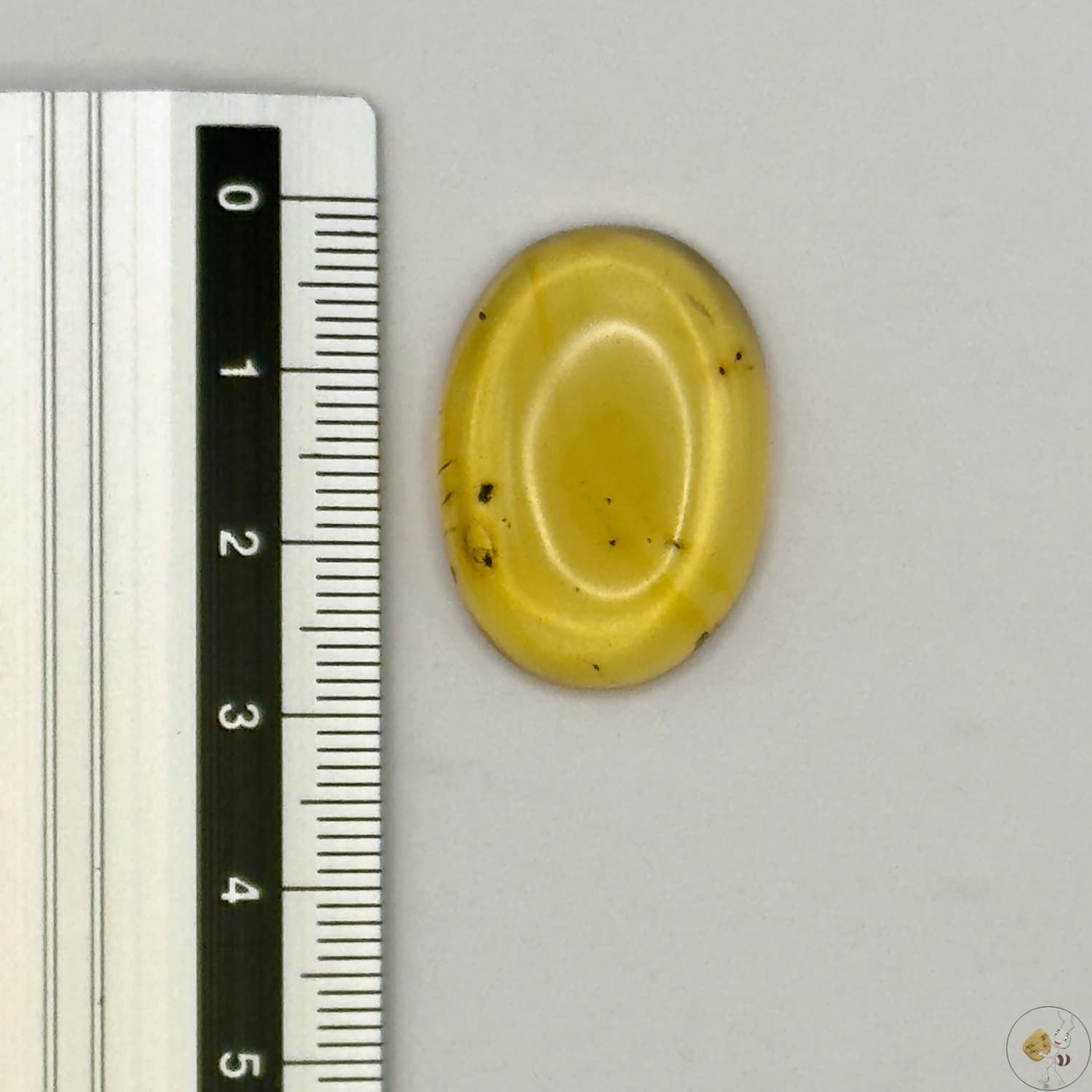 Cabochon en ambre jaune du Mexique, forme ovale, avec des inclusions naturelles et une finition polie. Présenté avec une règle pour référence